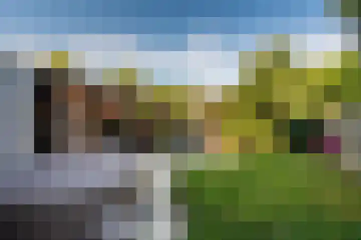 Violenstraat 24 d Sappemeer thumbnail 27