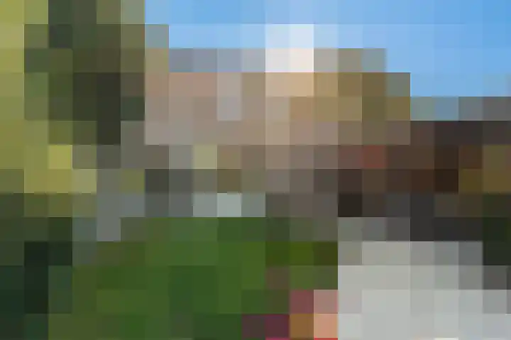 Violenstraat 24 d Sappemeer thumbnail 28