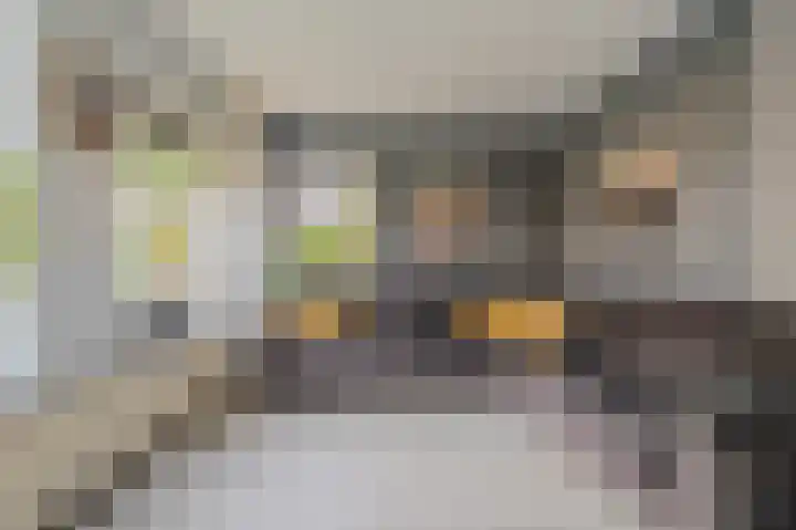 Violenstraat 24 d Sappemeer thumbnail 4