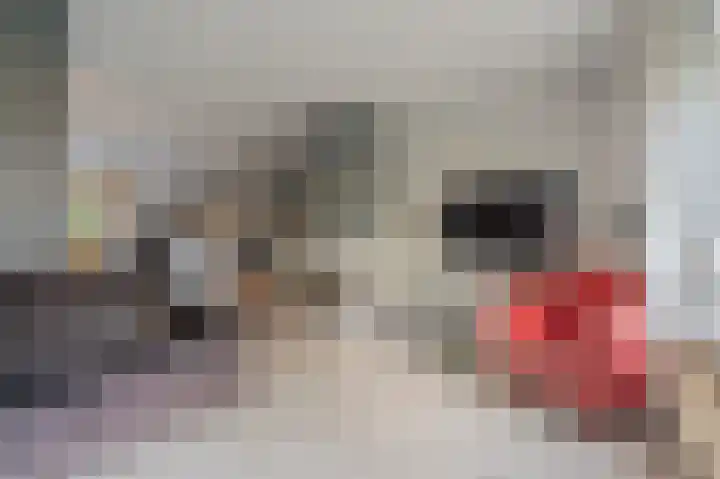 Violenstraat 24 d Sappemeer thumbnail 5