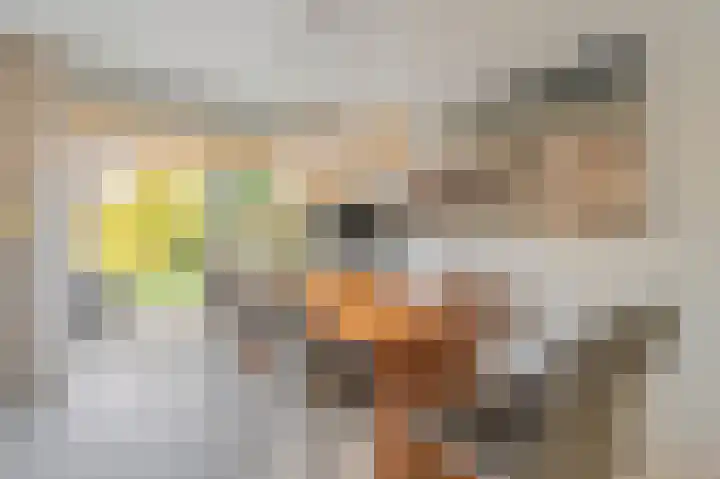 Violenstraat 24 d Sappemeer thumbnail 8