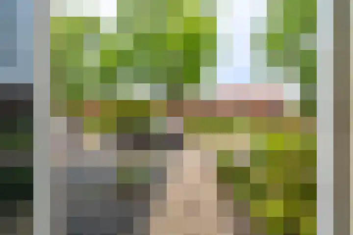 Violenstraat 25 Sappemeer thumbnail 10