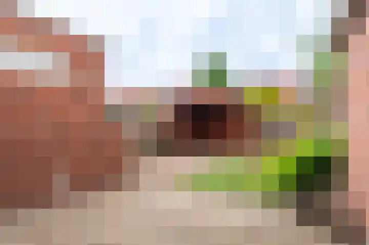 Violenstraat 25 Sappemeer thumbnail 23