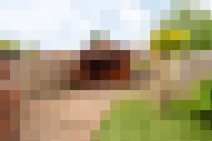Violenstraat 25 Sappemeer thumbnail 24