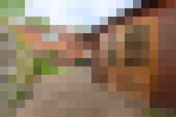 Violenstraat 25 Sappemeer thumbnail 25