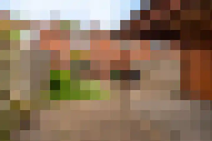 Violenstraat 25 Sappemeer thumbnail 26