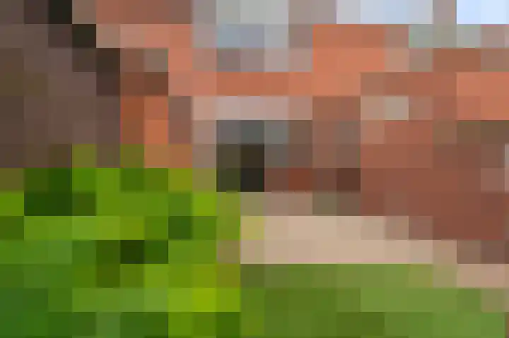 Violenstraat 25 Sappemeer thumbnail 28