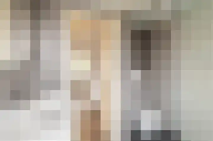 Violenstraat 25 Sappemeer thumbnail 38