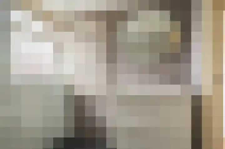 Violenstraat 25 Sappemeer thumbnail 4