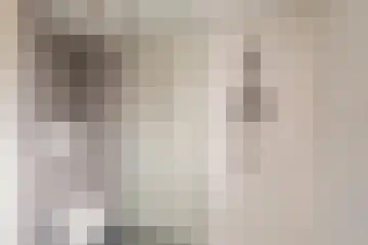 Violenstraat 25 Sappemeer thumbnail 40