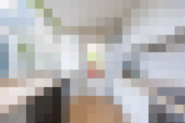 Violenstraat 26 Winsum thumbnail 29