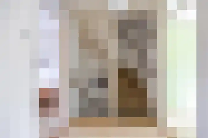 Violenstraat 26 Winsum thumbnail 31