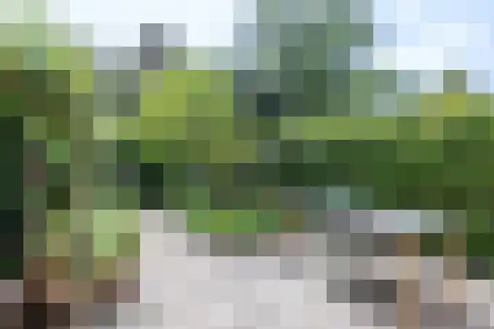 Violenstraat 26 Winsum thumbnail 48