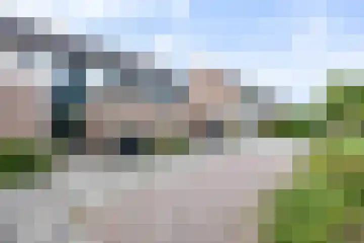 Violenstraat 26 Winsum thumbnail 5