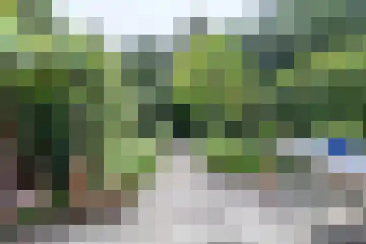 Violenstraat 26 Winsum thumbnail 50