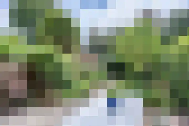 Violenstraat 26 Winsum thumbnail 51