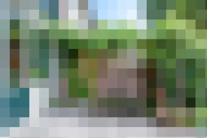 Violenstraat 26 Winsum thumbnail 52