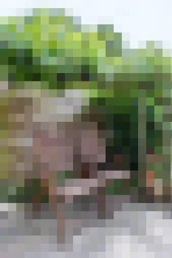 Violenstraat 26 Winsum thumbnail 53