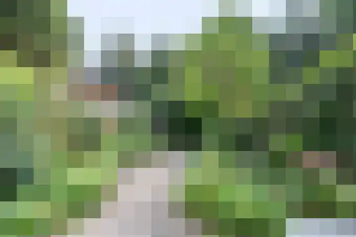 Violenstraat 26 Winsum thumbnail 56