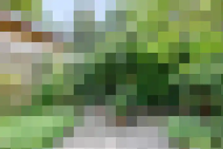 Violenstraat 26 Winsum thumbnail 57