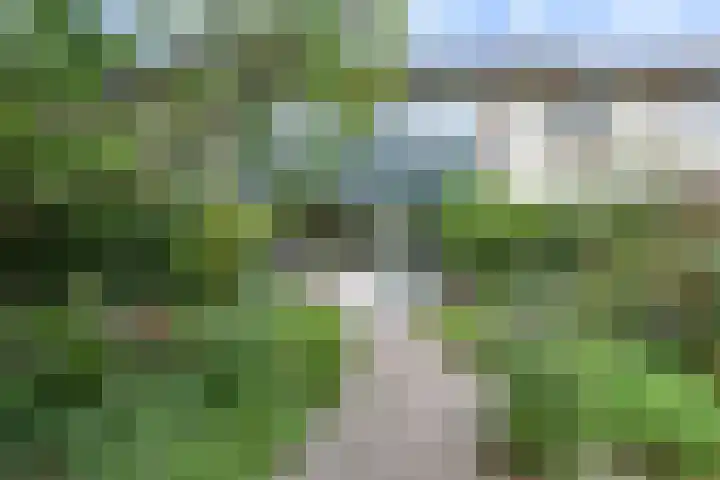 Violenstraat 26 Winsum thumbnail 58