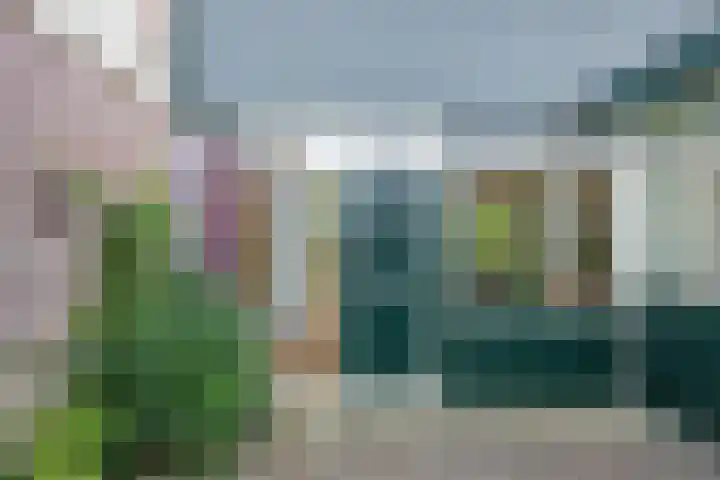 Violenstraat 26 Winsum thumbnail 6