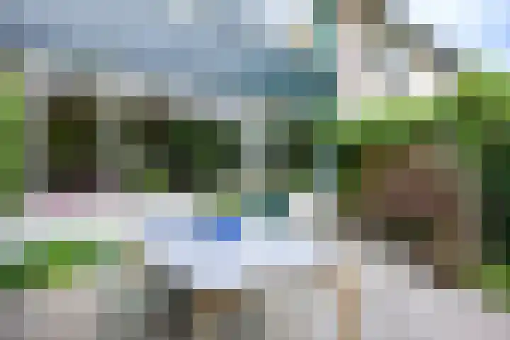 Violenstraat 26 Winsum thumbnail 60
