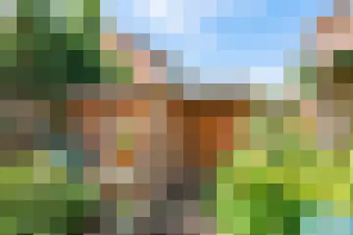Violenstraat 27 Winsum thumbnail 24