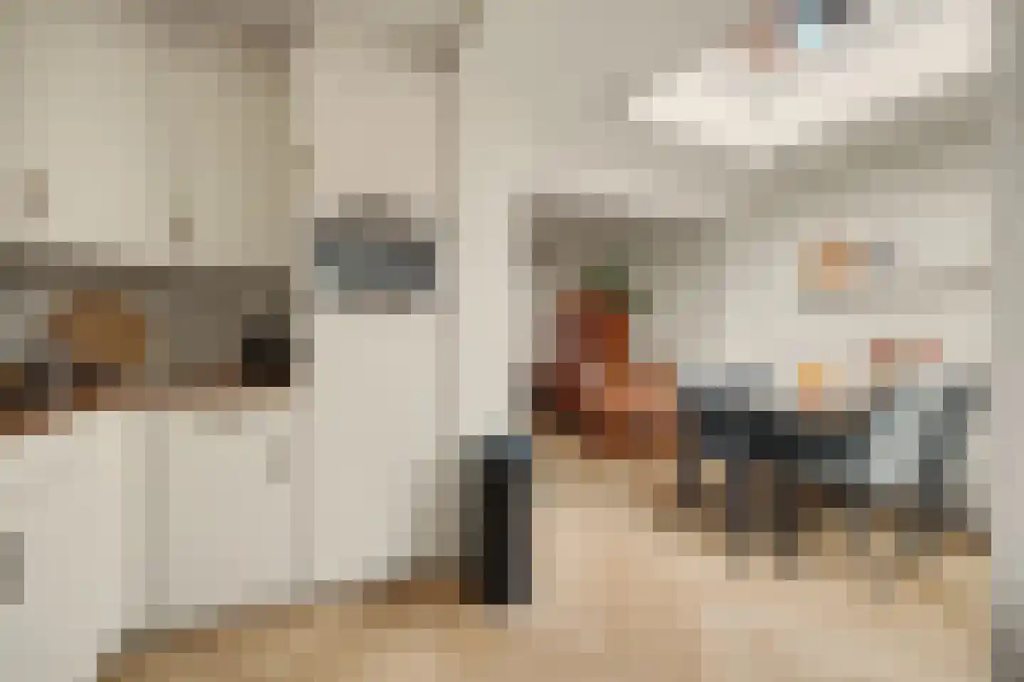 Violenstraat 28 Goes thumbnail 15
