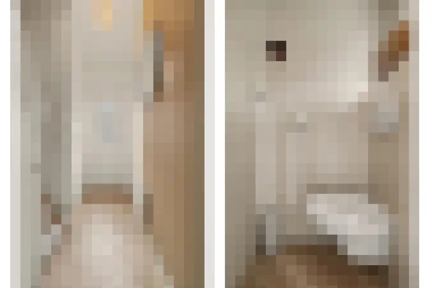 Violenstraat 28 Goes thumbnail 20