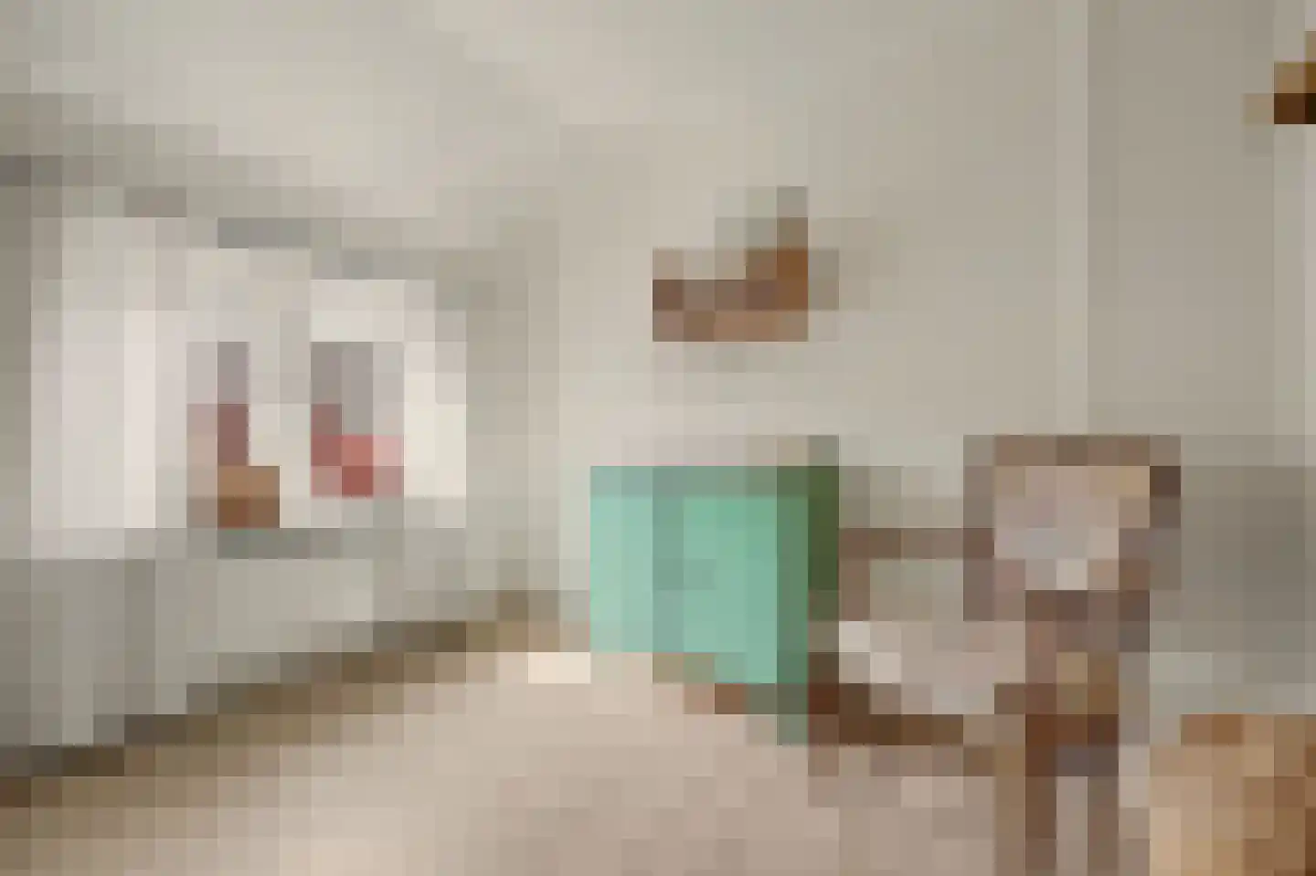 Violenstraat 28 Goes thumbnail 24