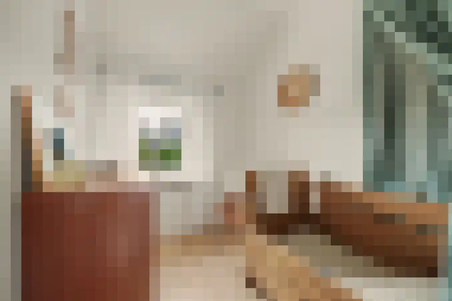 Violenstraat 28 Goes thumbnail 26