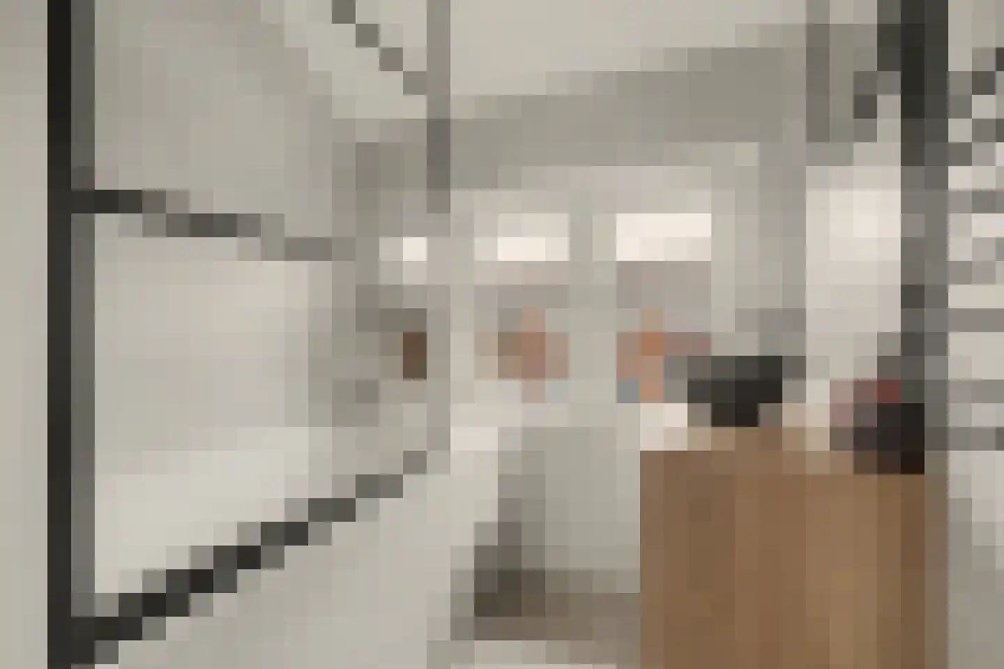 Violenstraat 28 Goes thumbnail 28