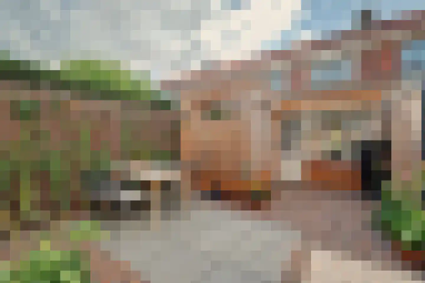 Violenstraat 28 Goes thumbnail 30