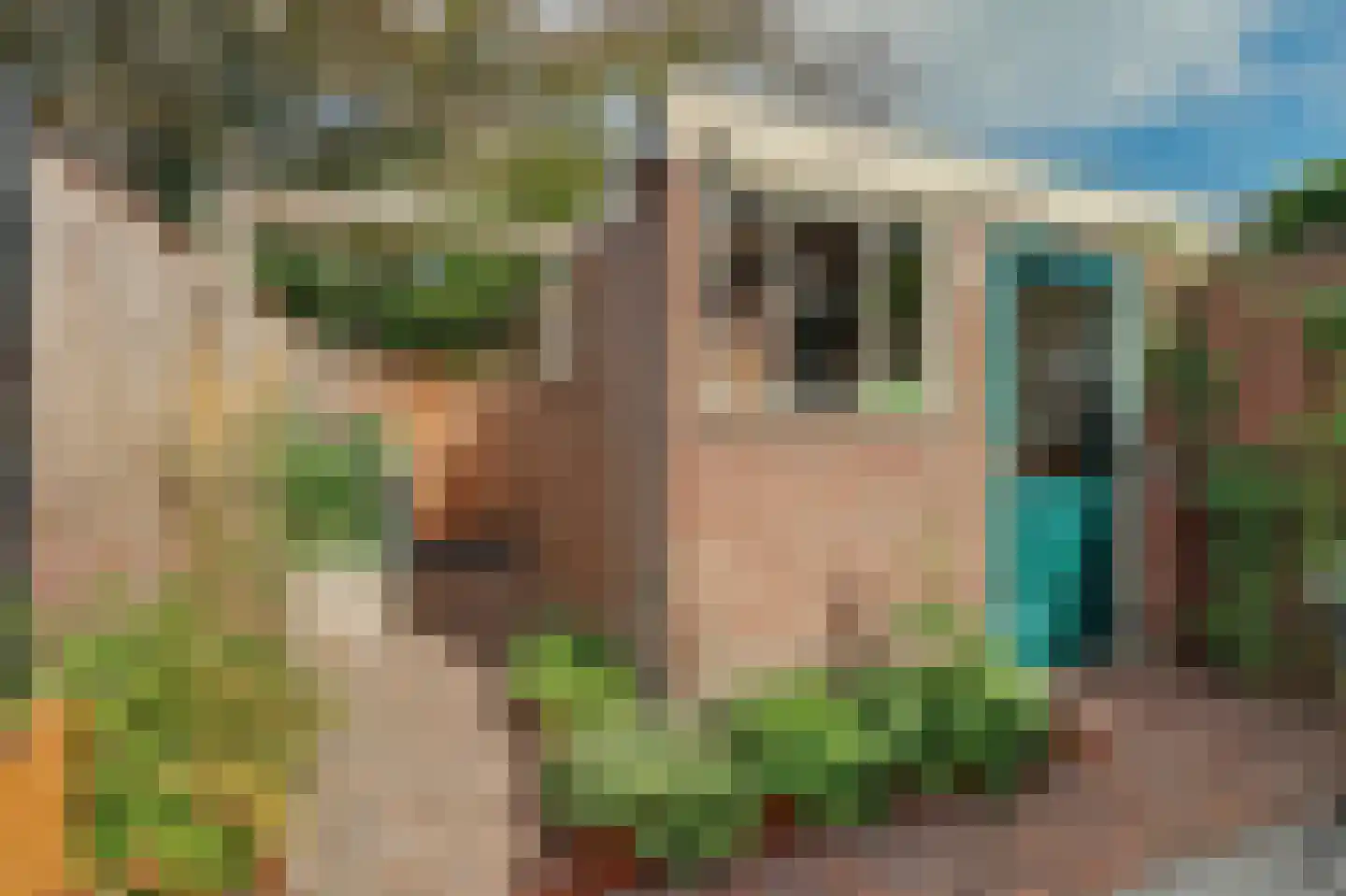 Violenstraat 28 Goes thumbnail 31