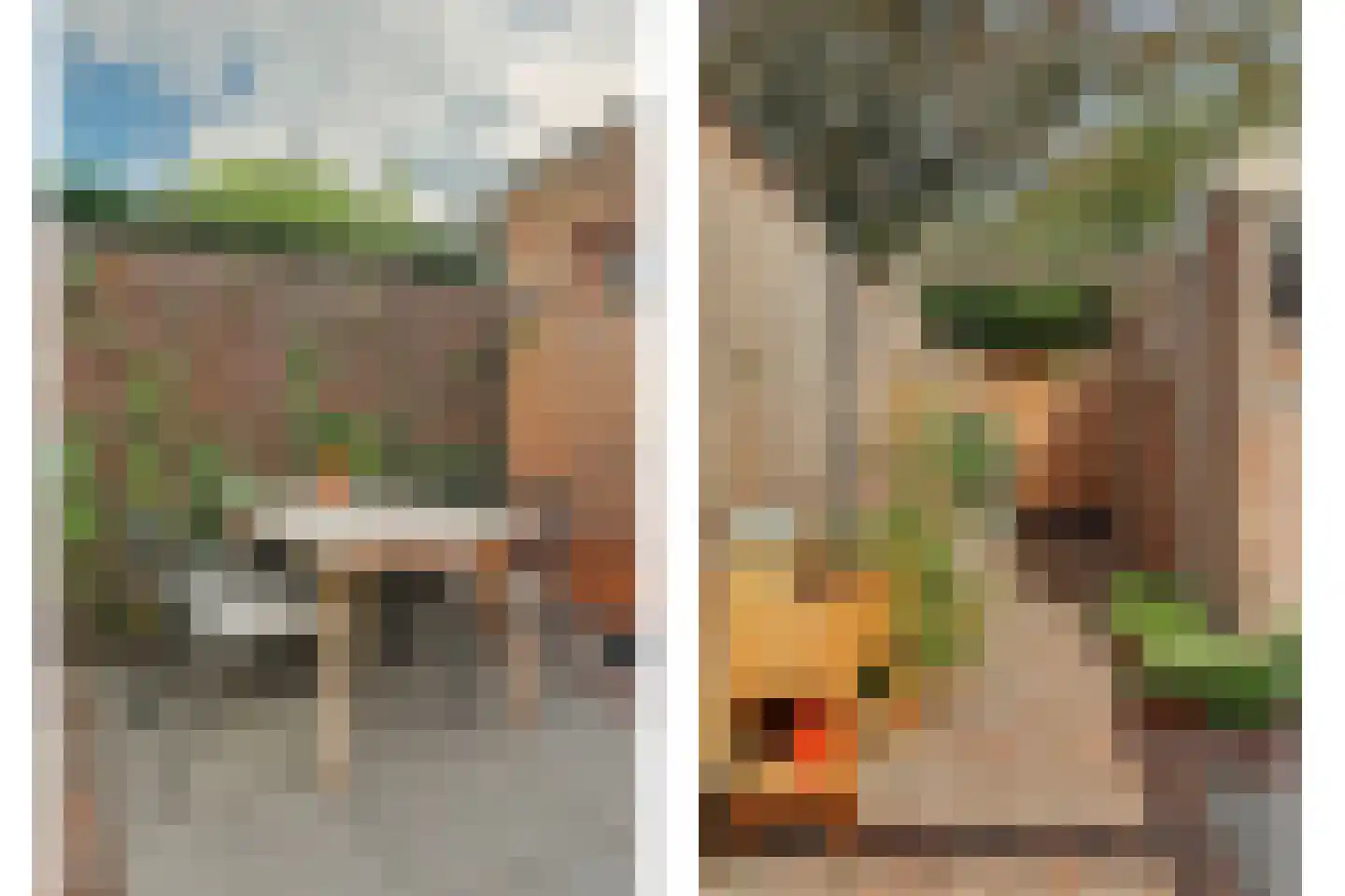 Violenstraat 28 Goes thumbnail 32