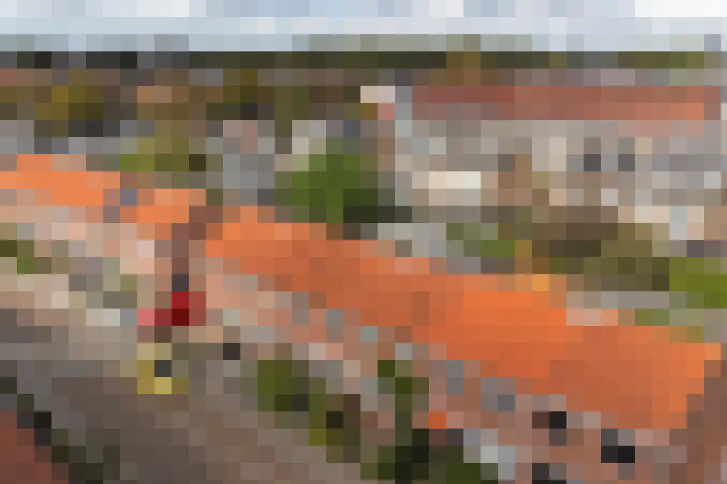Violenstraat 28 Goes thumbnail 39
