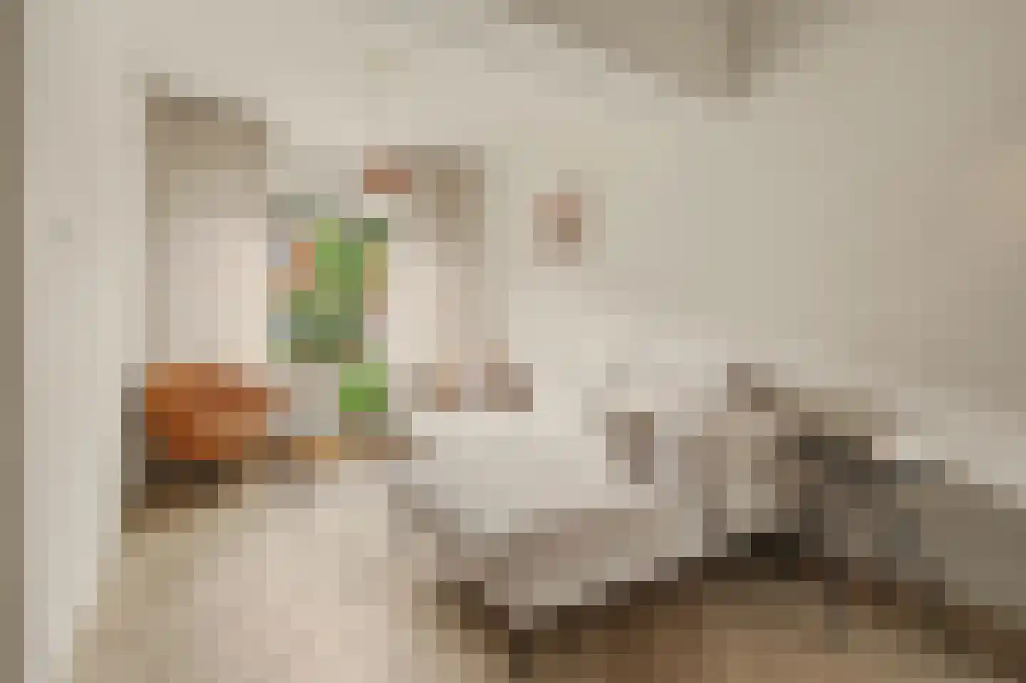 Violenstraat 28 Goes thumbnail 7