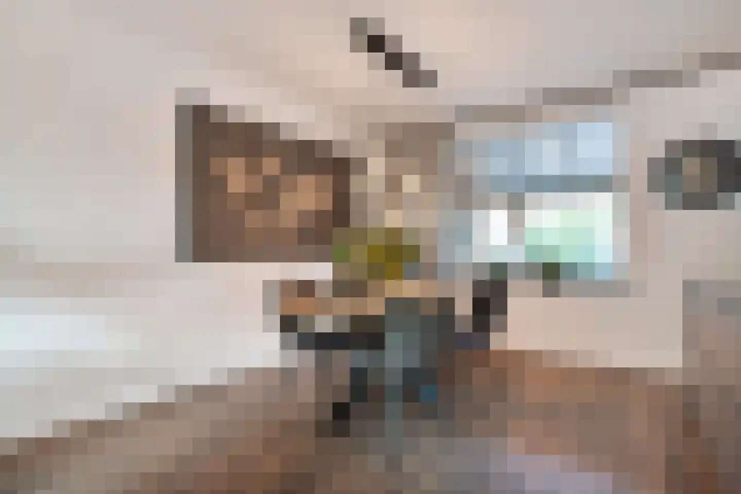 Violenstraat 29 Ommen thumbnail 10