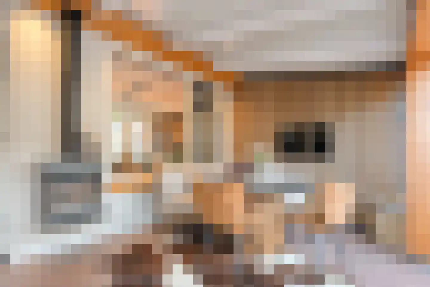 Violenstraat 29 Ommen thumbnail 14