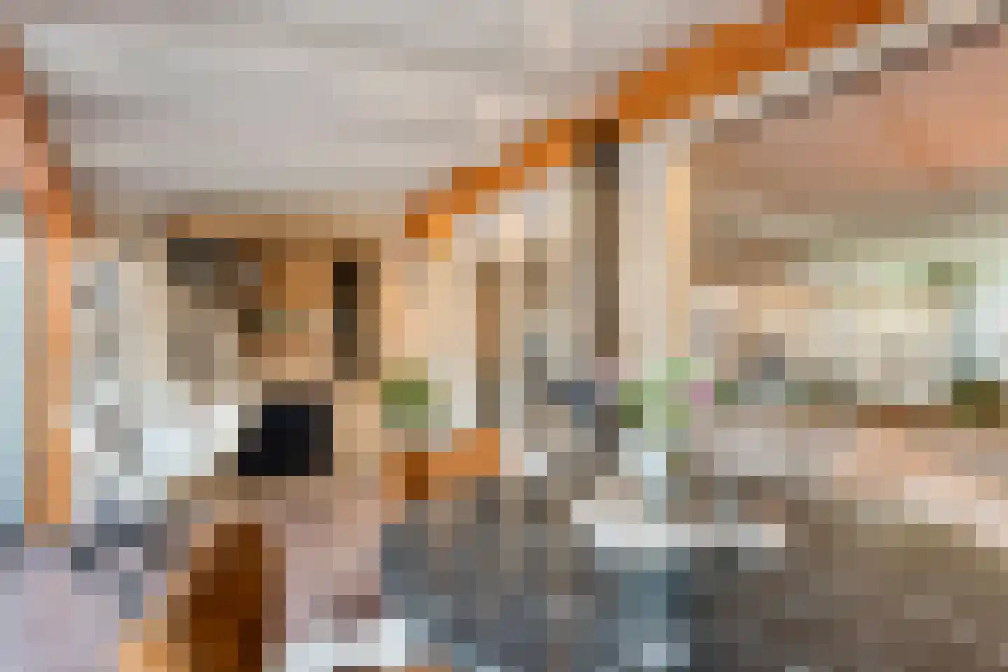 Violenstraat 29 Ommen thumbnail 16