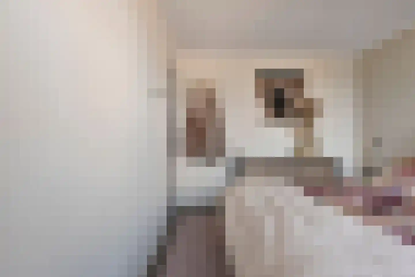 Violenstraat 29 Ommen thumbnail 21
