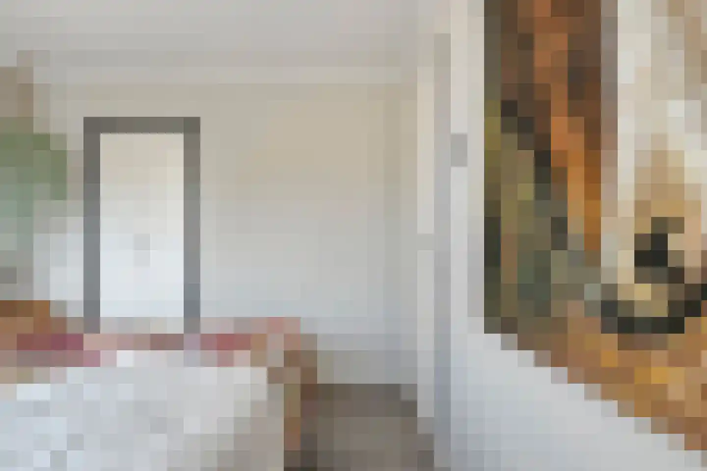 Violenstraat 29 Ommen thumbnail 23