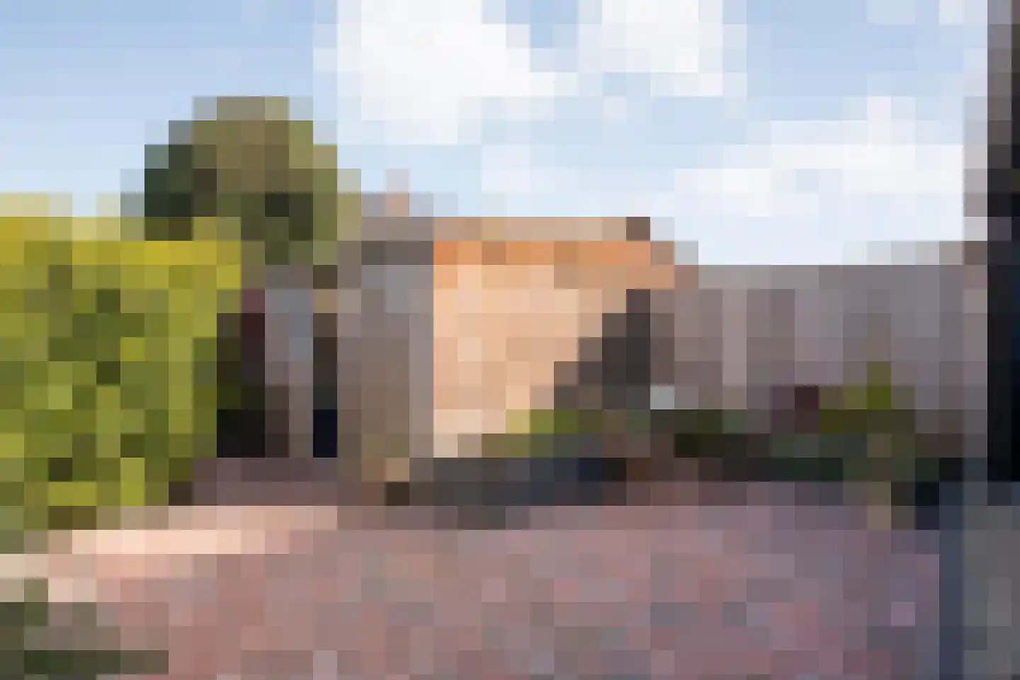 Violenstraat 29 Ommen thumbnail 38