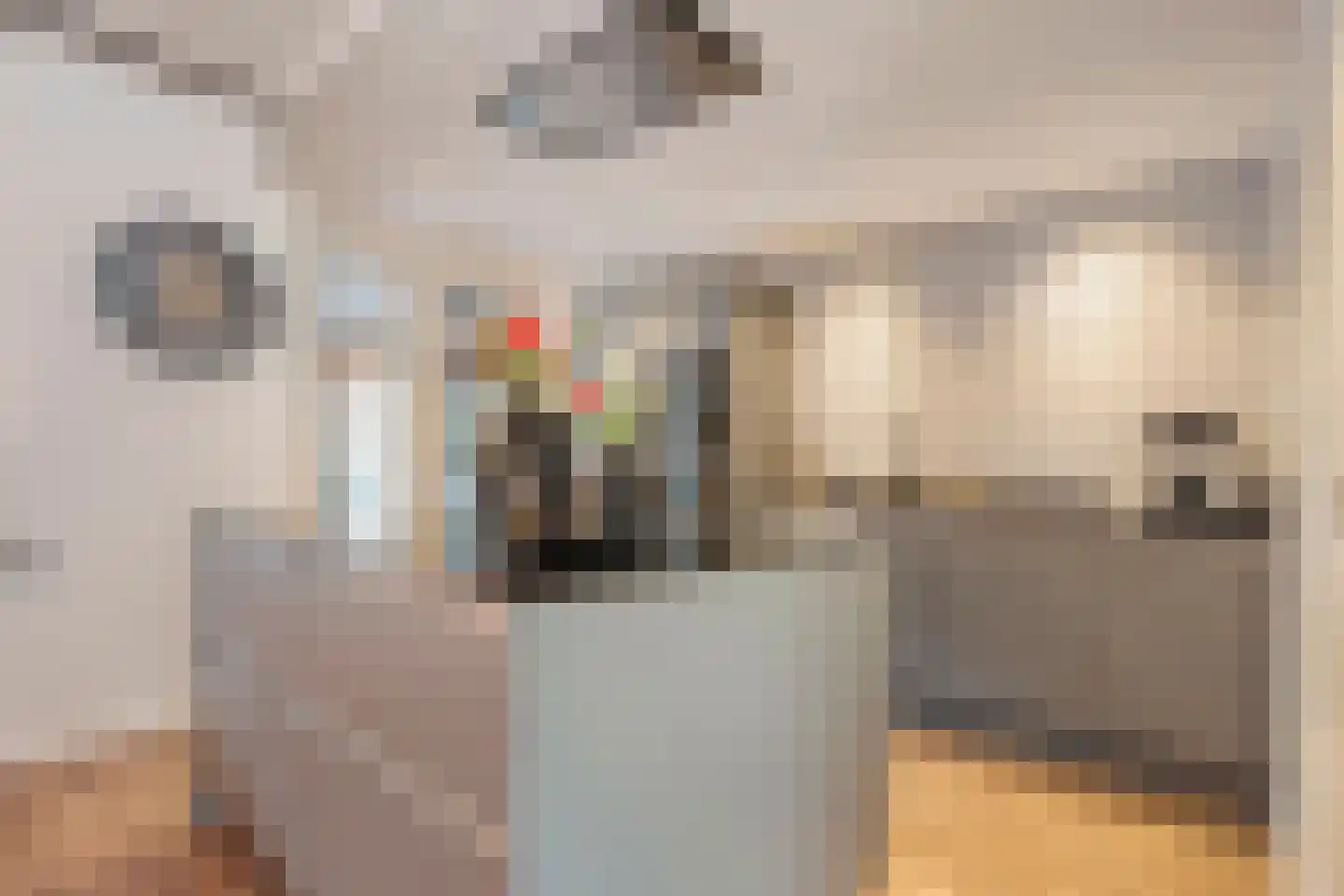 Violenstraat 29 Ommen thumbnail 4