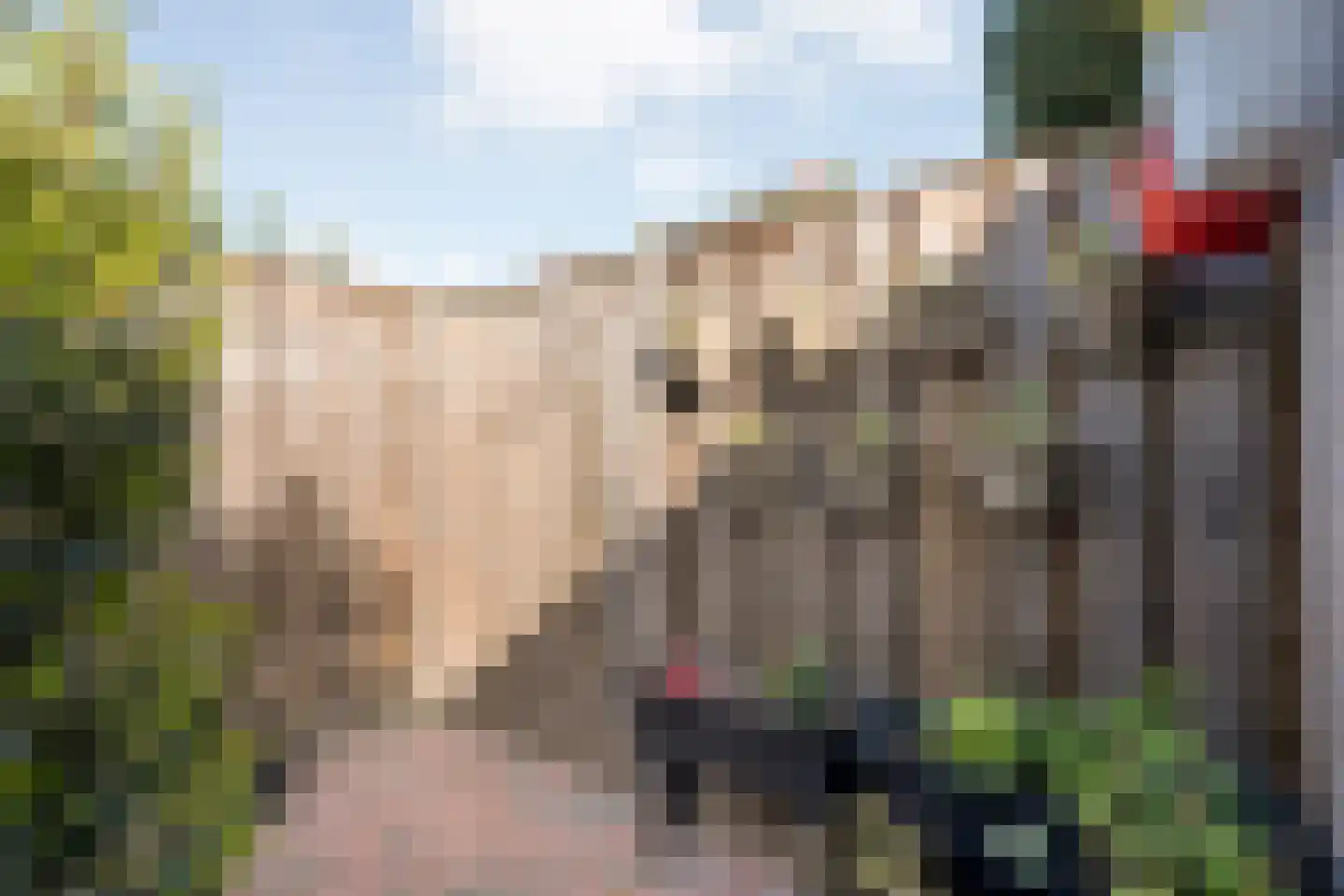 Violenstraat 29 Ommen thumbnail 41