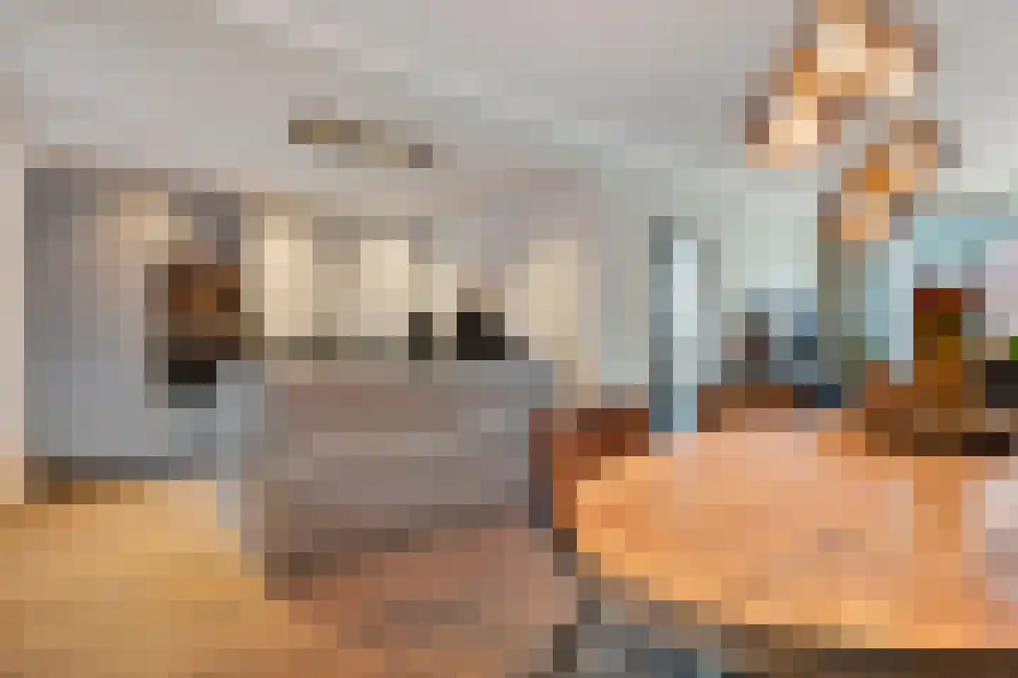 Violenstraat 29 Ommen thumbnail 5