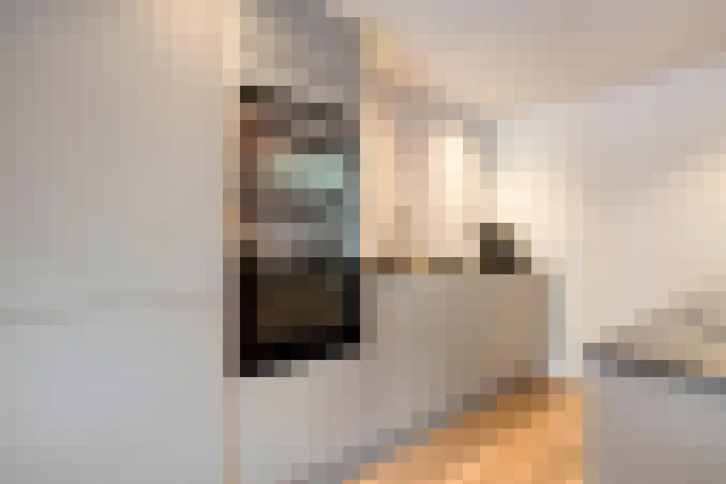 Violenstraat 29 Ommen thumbnail 6