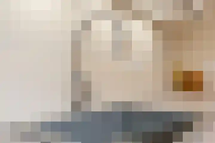 Violenstraat 3 Beilen thumbnail 16