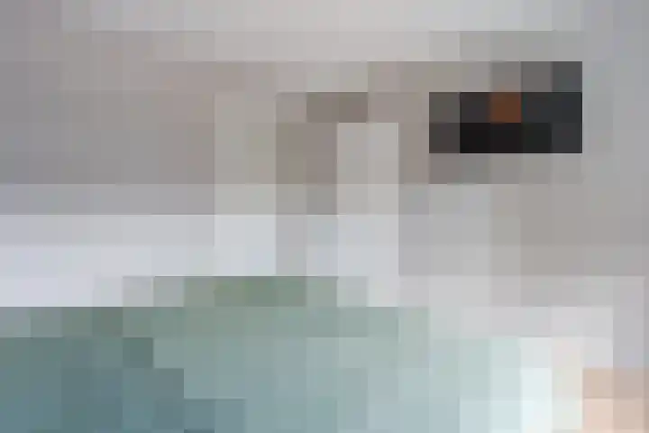 Violenstraat 3 Beilen thumbnail 21